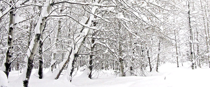 prepare your plumbing for winter