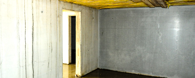 looking through the doorway inside of a wet basement located in a toronto home